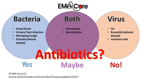 bacterial and viral infections - EMA Care - EMA Care