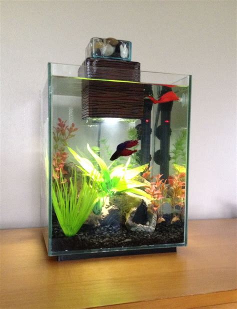 5 Gallon Betta Tank Aquascape - Aquascape Ideas