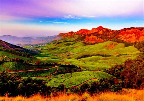 Ooty Tourism, Travel Guide - Everything You Need to Know About Ooty