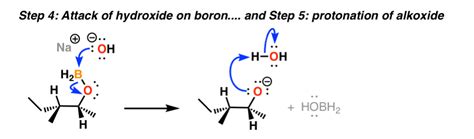 Hydroboration Oxidation of Alkenes Mechanism – Master Organic Chemistry