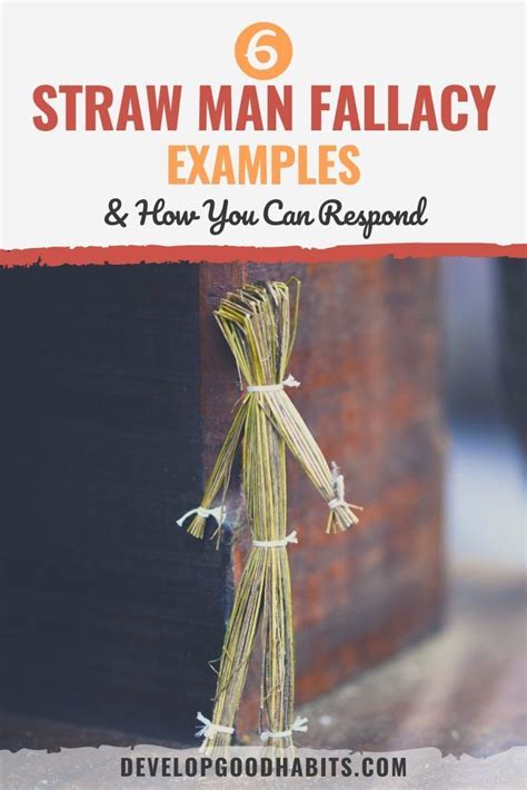 6 Straw Man Fallacy Examples & How You Can Respond | Fallacy examples ...