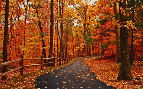 Autumn Fall Road Wallpapers - Wallpaper Cave