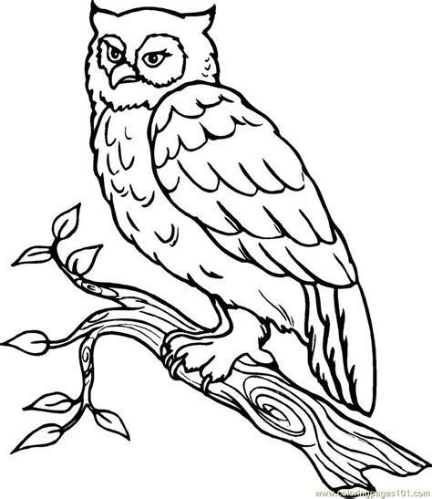 Snowy Owl Coloring Pages - Coloring Home