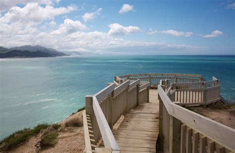 Lighthouse Walk: Castlepoint Scenic Reserve, Wairarapa region