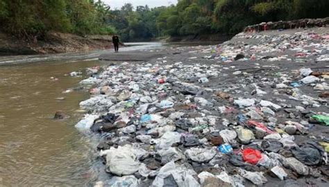 Sampah dan Limbah Domestik Penyumbang Terbesar Pencemaran Sungai di ...