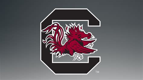 South Carolina Gamecocks Football Wallpapers - WallpaperSafari