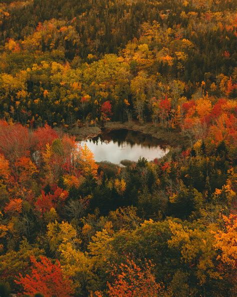 Fall colors in Acadia National Park, Maine - USA [OC] [3774 × 4717] : r ...