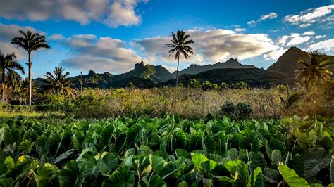 Rarotonga, Cook Islands | Natural landmarks, Island, Rarotonga