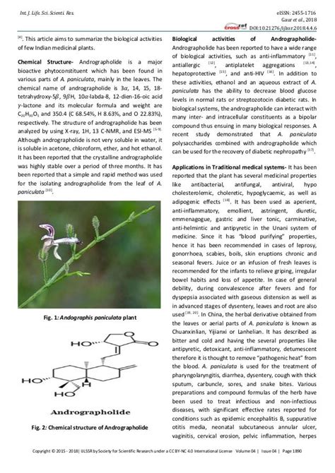 Pharmacological and Clinical Effects of Andrographis paniculata