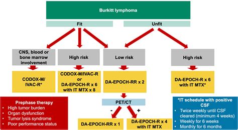 Central Nervous System Prophylaxis and Treatment in Burkitt Lymphoma