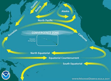 Great Pacific Garbage Patch: Overview, Impact, Solution