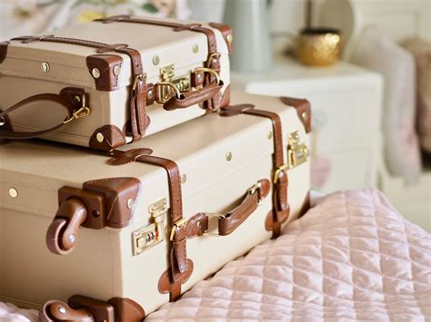 My new trunk luggage | The dainty dress diaries