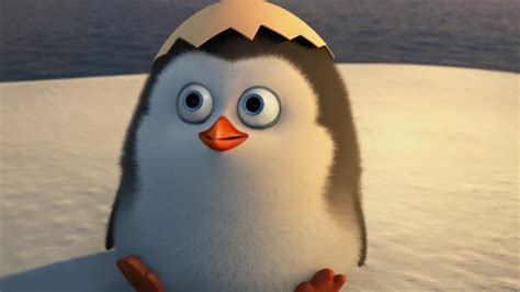 Private - I Pinguini di Madagascar foto (42834283) - fanpop