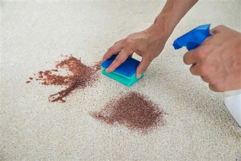 Rug Cleaning - Top Tips