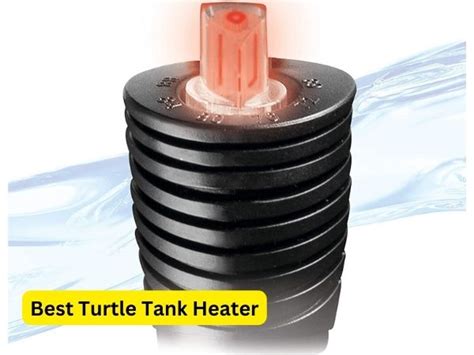 Best Turtle Tank Heater Review | Know Before You Buy