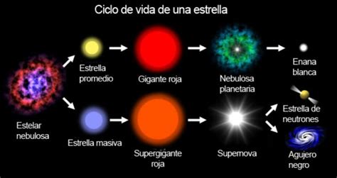 Ciclo de la estrella. | Ciclos de vida, Estrella de neutrones, Universo ...