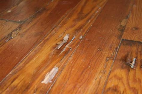 How to Repair and Replace Wood Flooring - Pro Tool Reviews