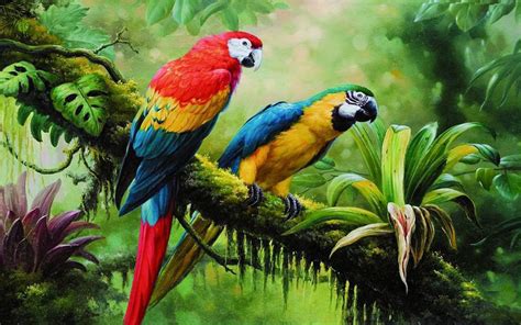 Download Branch Jungle Rainforest Colorful Bird Animal Macaw Image