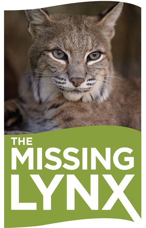 The Missing Lynx - The Escondido Creek Conservancy