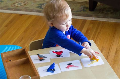 Object-to-Picture Matching for Montessori Toddlers