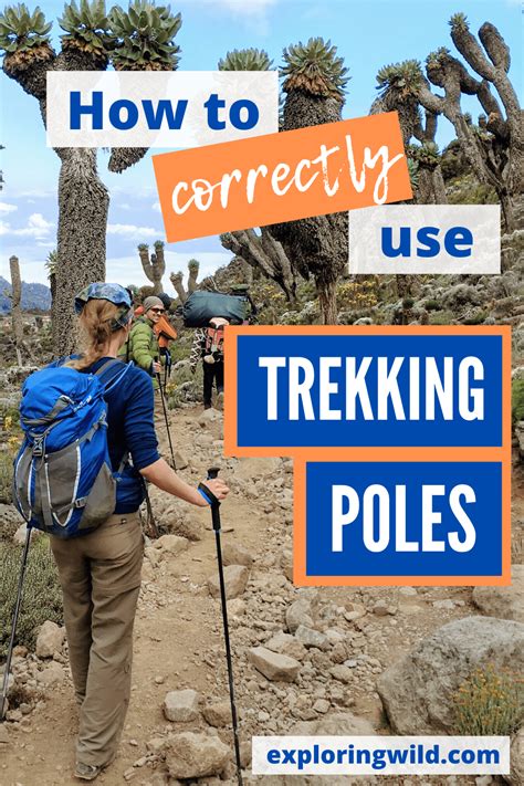 Best Hiking Sticks For Beginners - Hiking Info