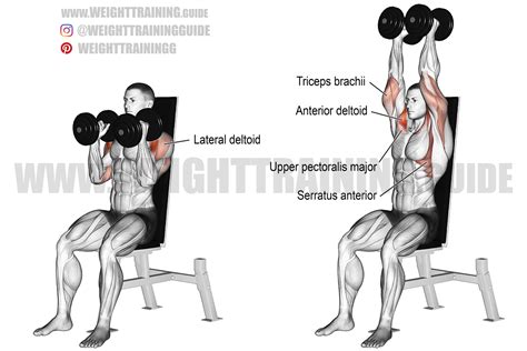 Seated neutral-grip dumbbell overhead press instructions and video