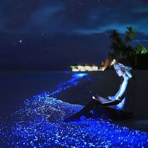 Sea of Stars on the island @Anantara Kihavah, Maldives. | Amazing ...