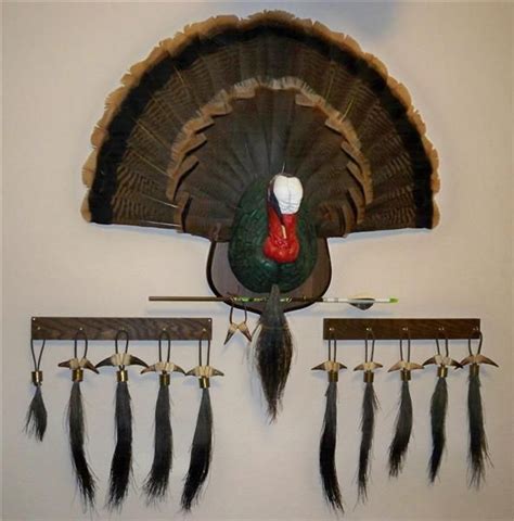 10 best Turkey Beard display images on Pinterest | Turkey mounts, Deer ...