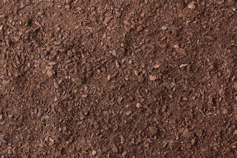 Soil texture detail for gardening | High-Quality Nature Stock Photos ...