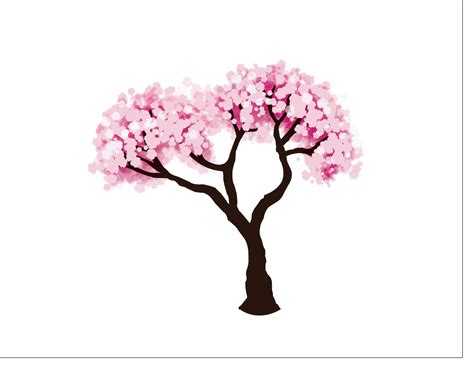 Cherry Blossom Tree Drawing Easy at GetDrawings | Free download