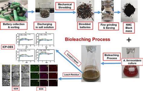 Bioleaching process (Roy, Srinivasan, et al., 2021) | Download ...