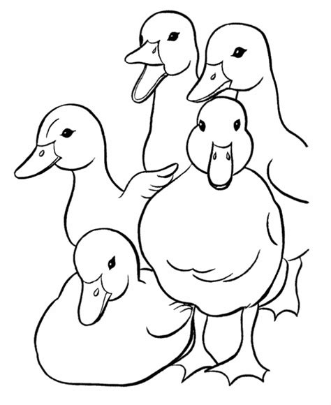 Sarah And Duck Coloring Pages at GetDrawings | Free download