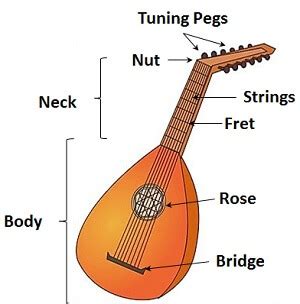 17+ Parts Of A Lute - AryanArpitha