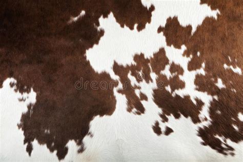 Cow Skin Pattern