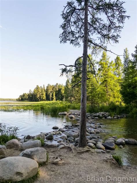 Minnesota’s Itasca State Park - Minnesota Trails