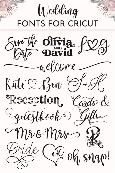 Script Font Calligraphy Font Modern Signature Font Wedding Font Cricut ...