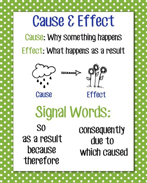 Cause And Effect Examples 3rd Grade