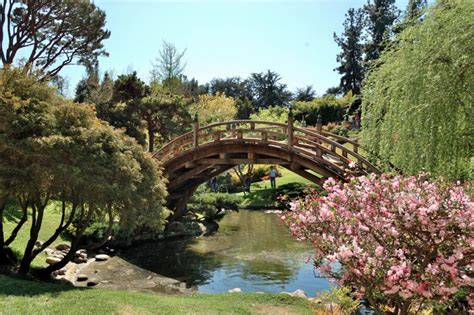 16 Gorgeous Los Angeles Botanical Gardens You Definitely Need to Visit Once