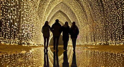 Chicago Botanic Garden's 'Lightscape' Has Returned