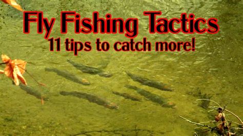 11 Fly Fishing Tactics to Catch Selective Trout - Guide Recommended