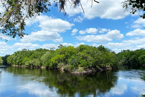 Suwannee River State Park history, Live Oak Florida — SOUTH OF SEEDS