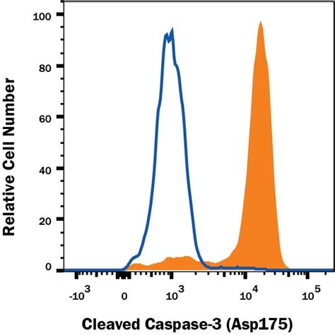 Anti-Cleaved Caspase-3 Antibody MAB835: R&D Systems