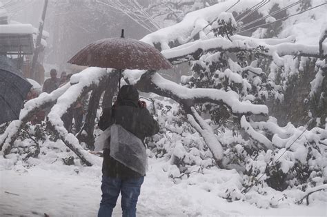 Shimla receives season’s first heavy snowfall - The News Himachal