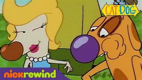 Top 5 CatDog Moments You May Have Missed! | NickRewind - YouTube