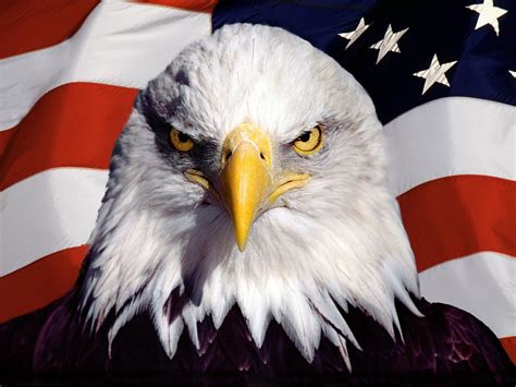 American Flag with Eagle Wallpaper - WallpaperSafari