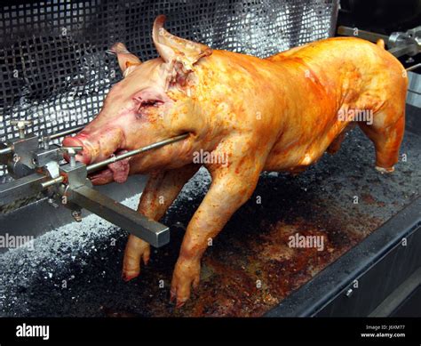 grill barbecue barbeque piglet bbq bar-b-q sucking-pig pork pig grill ...