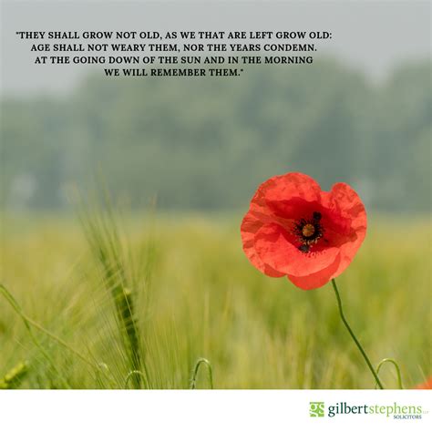 Poppy and Poem for Remembrance Day - Gilbert Stephens LLP Solicitors ...