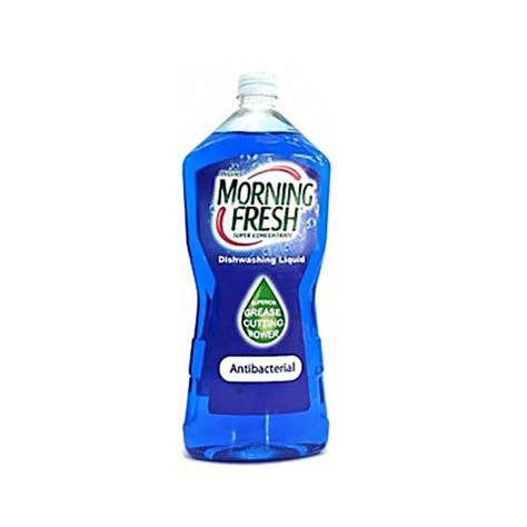 Buy Morning Fresh Morning Fresh Dishwashing Liquid Antibacterial ...