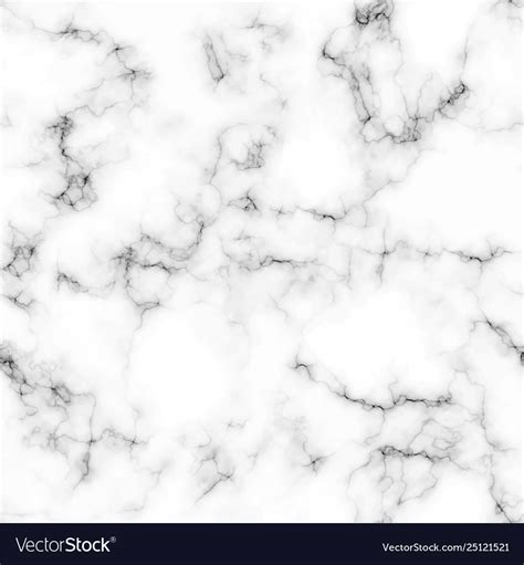 White marble texture background Royalty Free Vector Image