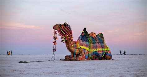 Rann of Kutch: The land of ultimate white dessert. - India Chalk